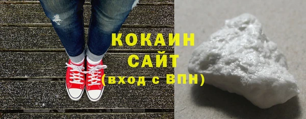 PSILOCYBIN Козловка