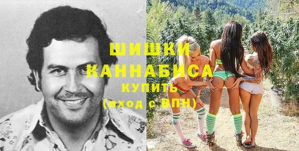 СК Волосово