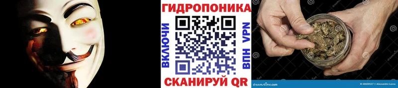 Бошки Шишки планчик hydra зеркало Облучье
